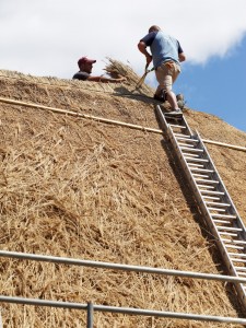roof thatching