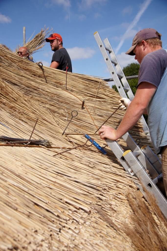 roof thatching