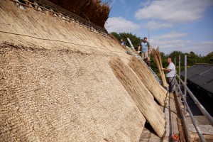 roof thatching