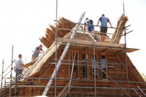 roof thatching