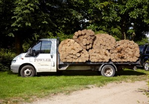 roof thatching