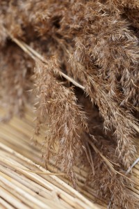 roof thatching