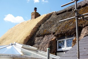 roof thatching