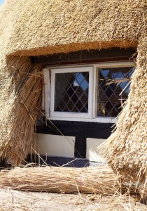 roof thatching