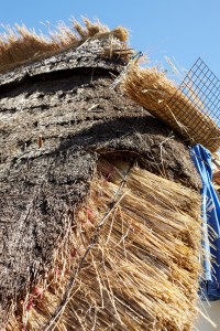roof thatching