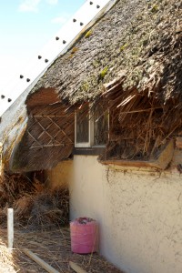roof thatching