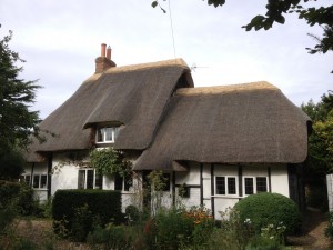 roof thatching