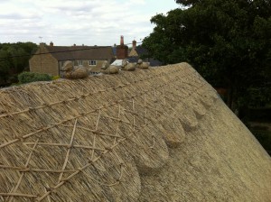 roof thatching