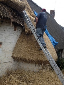 roof thatching