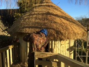 roof thatching