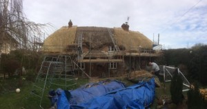 roof thatching