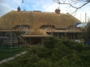 roof thatching