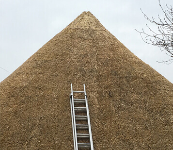 Thatched Roof Example